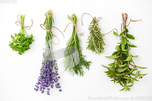 Image of greens, spices or medicinal herbs on white