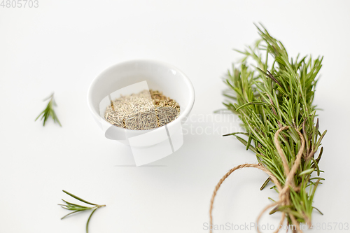 Image of fresh and dry rosemary on white background