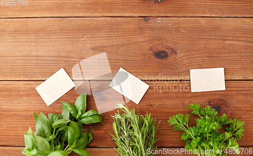 Image of greens, spices or medicinal herbs on wooden boards