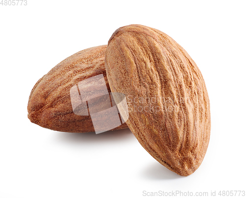 Image of almonds macro isolated on white