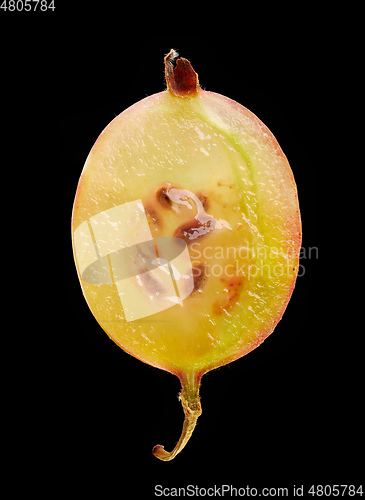 Image of half of gooseberry macro