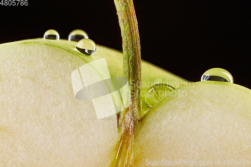 Image of green apple macro