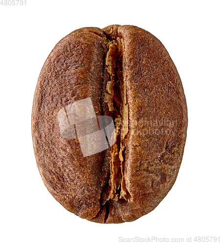 Image of coffee bean macro
