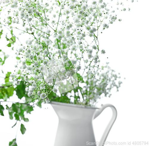 Image of small white flowers background