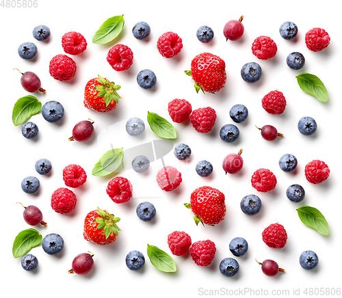 Image of composition of fresh berries and green leaves