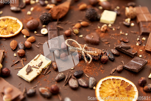 Image of cocoa beans, chocolate, nuts and cinnamon sticks