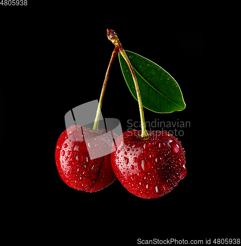 Image of fresh wet cherries