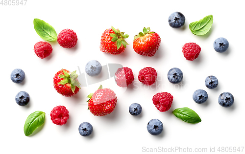 Image of composition of fresh berries and green leaves