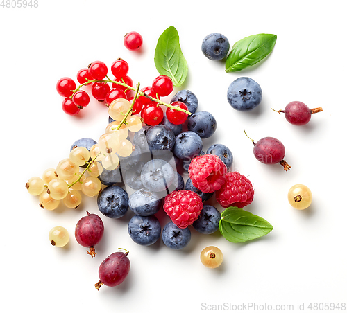 Image of composition of fresh berries and green leaves