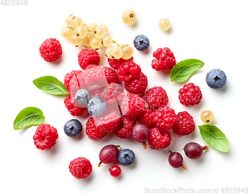 Image of composition of fresh berries and green leaves