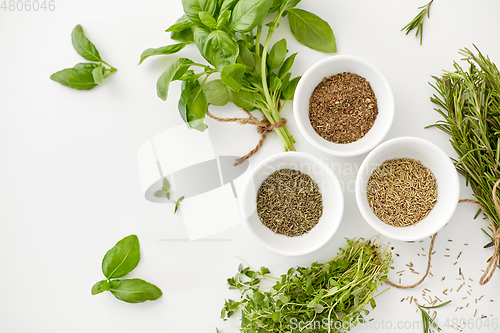 Image of fresh and dry seasoning on white background