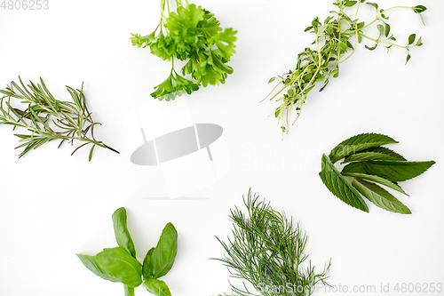 Image of greens, spices or herbs on white background
