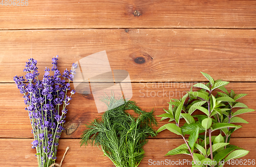 Image of lavender, dill and peppermint on wooden background