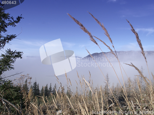 Image of Above Clouds