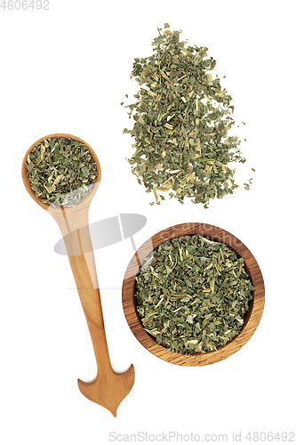 Image of Avens Herb Leaves Herbal Medicine