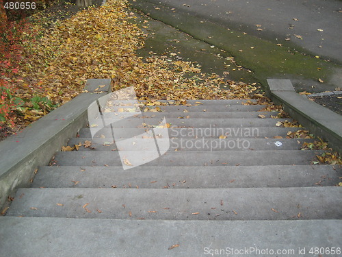 Image of Looking down stairs in autumn