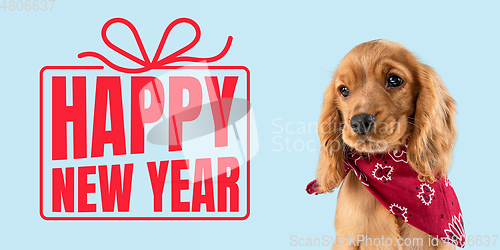 Image of Young dog posing isolated on blue studio background, wishes happy New Year