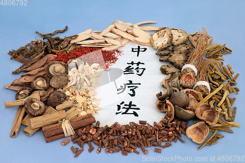 Image of Traditional Chinese Herbal Therapy