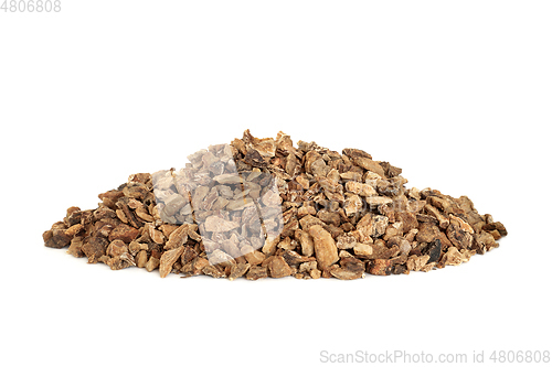 Image of Devils Claw Root Herbal Medicine