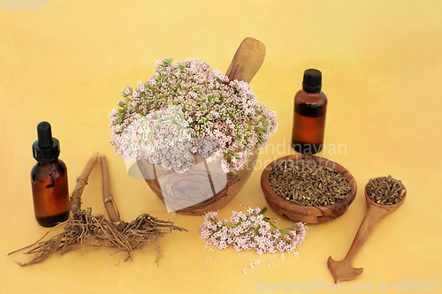 Image of Valerian Herbal Medicine