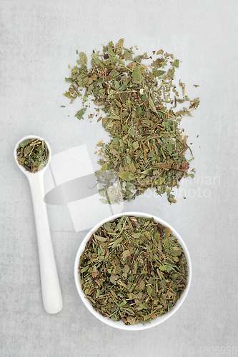 Image of Bilberry Herb Leaves Used in Herbl Medicine