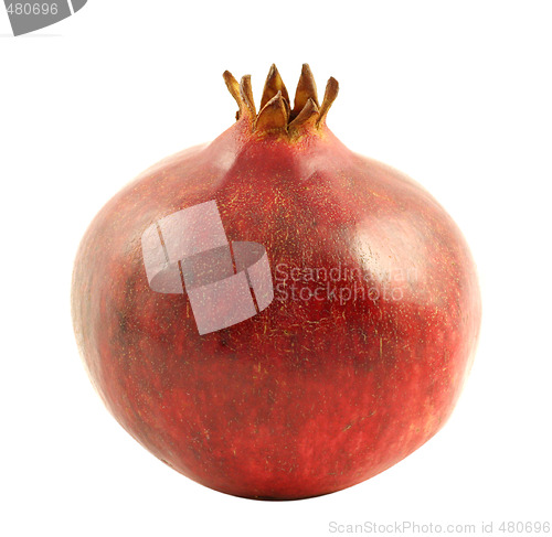 Image of Pomegranate 
