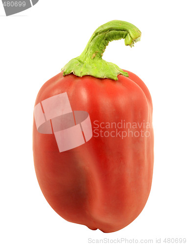 Image of Red Pepper