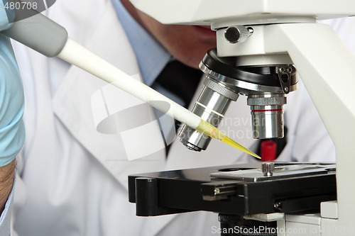 Image of Laboratory scientist looking into microscope