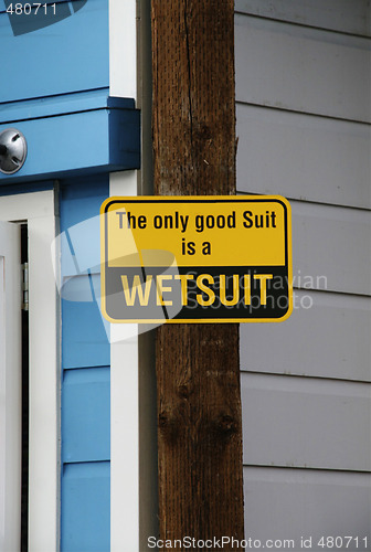 Image of The only good suit is a wetsuit