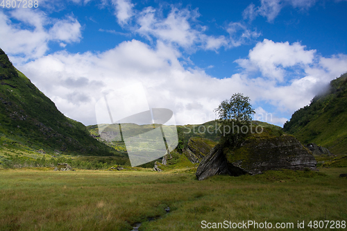 Image of Vikafjell, Hordaland, Norway