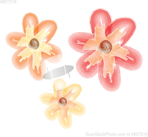 Image of A flower vector or color illustration