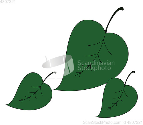 Image of Leaves icon/Three deltoid-shaped leaves vector or color illustra