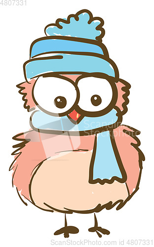 Image of An owl wearing a cap vector or color illustration