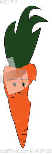 Image of An angry bitten carrot vector or color illustration
