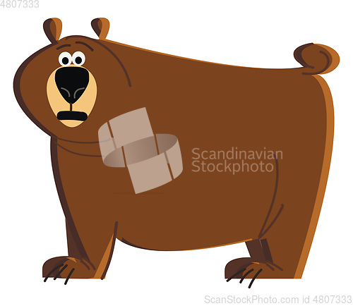 Image of A big brown grizzly bear roaming around the bush vector color dr