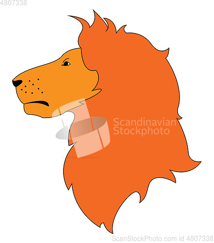 Image of Red hair lion profileillustration vector on white background