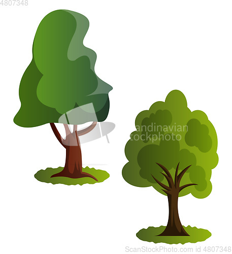 Image of Couple of green trees vector illustration on white background