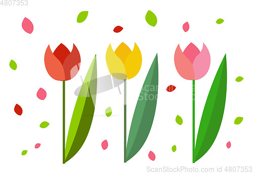 Image of Clipart of three beautiful tulips/Colorful flowers vector or col