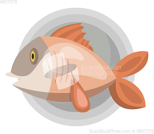Image of Fish vector color illustration.