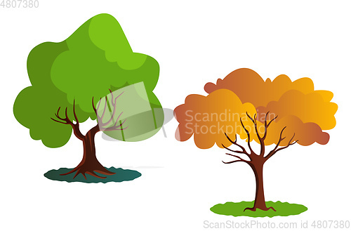 Image of Two autumn tree vector illustration on white background