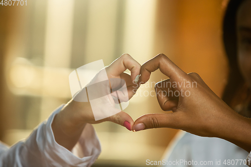 Image of Close up of african-american and caucasian human\'s hands gesturing
