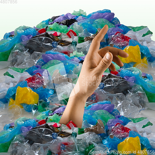 Image of Modern design. Contemporary art collage. Ecology concept.