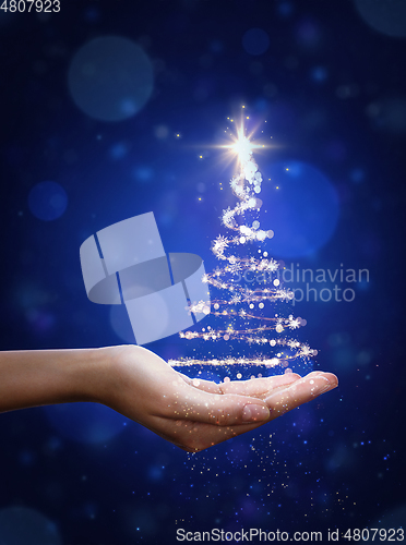 Image of Blue Christmas tree in hand