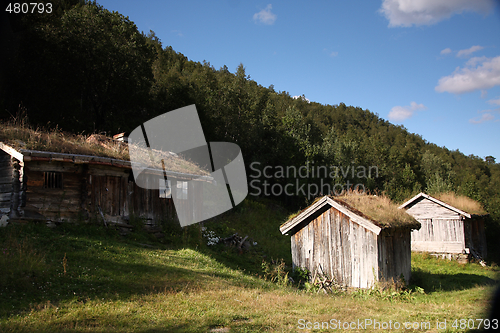 Image of Grass roof house
