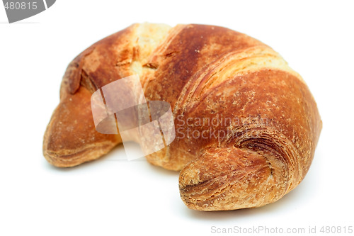 Image of Italian brioche or french croissant