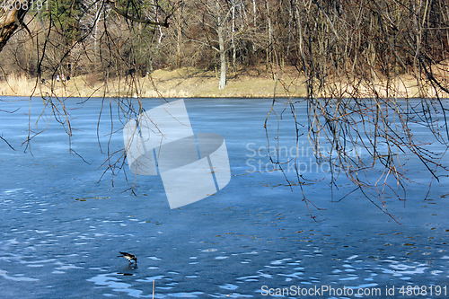 Image of river with melting of ice in early spring