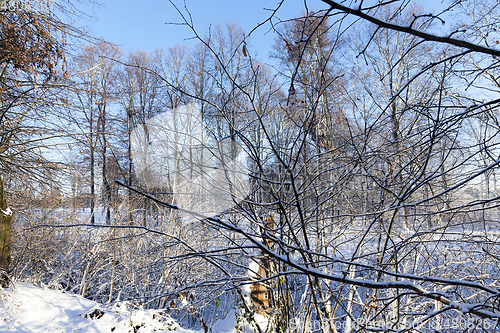 Image of snow covered trees in the park in winter