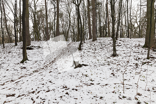 Image of Snow drifts in winter