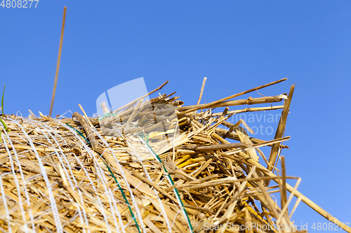 Image of bale and blue sky