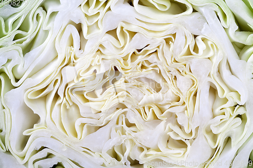Image of Cut of young cabbage